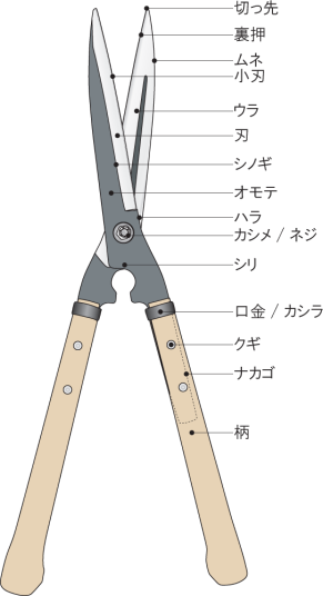 Chiba S Home Page